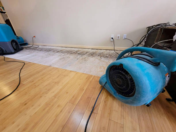 Professional Ceiling Water Damage Repair technician working in Clio, MI